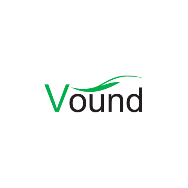 Vound Intella Pro